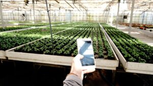 Ρουμπουλας Irrigation - Comcoms